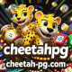 cheetah-pg.com favicon